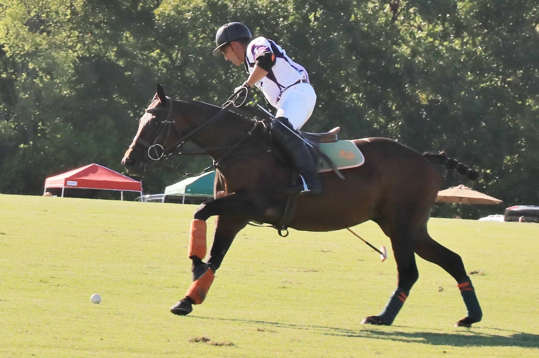 2018-Glennon-Gallop-056.JPG